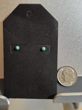 NWOT FASHION earrings Turquoise color studs